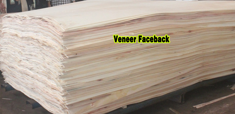 Veneer FSC®  Certified product on request