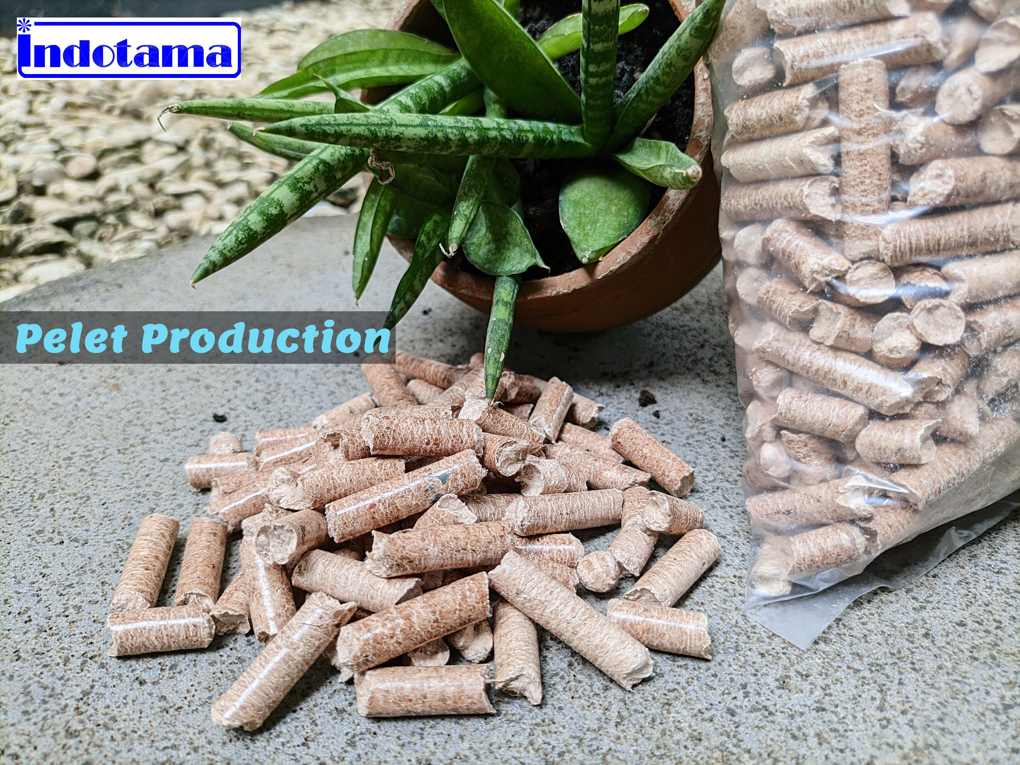 Wood Pellets